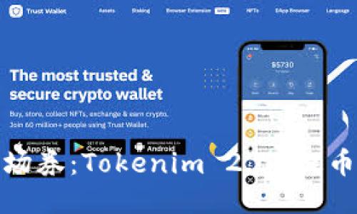 如同神秘入场券：Tokenim 2.0 提币验证全攻略