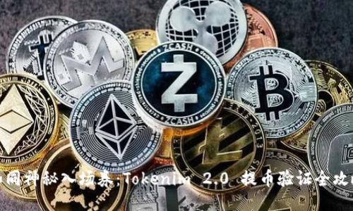如同神秘入场券：Tokenim 2.0 提币验证全攻略