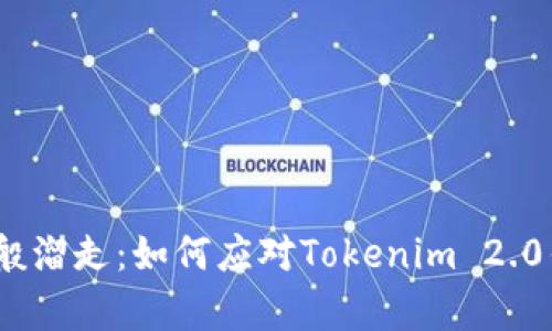  当数字财富如沙子般溜走：如何应对Tokenim 2.0钱包私钥丢失的窘境
