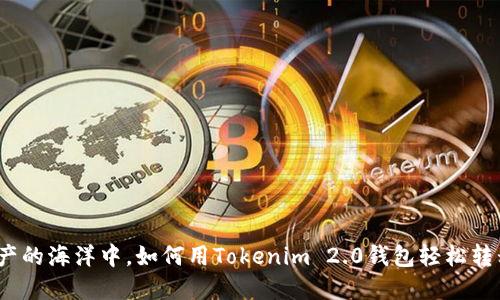 在数字资产的海洋中，如何用Tokenim 2.0钱包轻松转移到币安？