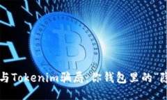 揭秘油卡与Tokenim骗局：你钱包里的“隐形杀手”