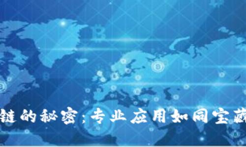 解锁区块链的秘密：专业应用如同宝藏等待挖掘