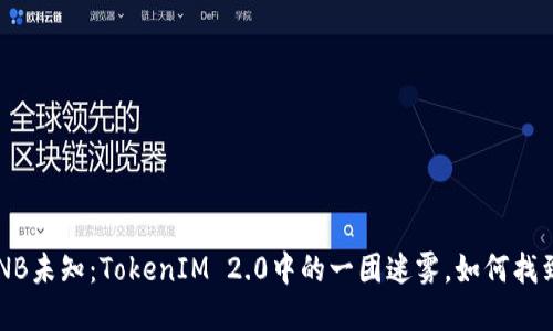### BNB未知：TokenIM 2.0中的一团迷雾，如何找到归属感？