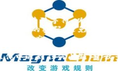 要设置Tokenim 2.0的支付密码，请按照以下步骤进行