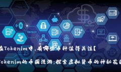 在Tokenim中，有哪些币种值得关注？Tokenim的币圈漫