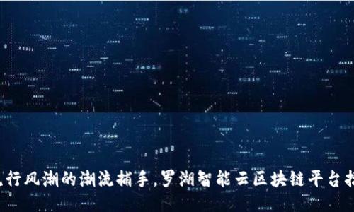 像捕捉流行风潮的潮流捕手，罗湖智能云区块链平台招聘新星！