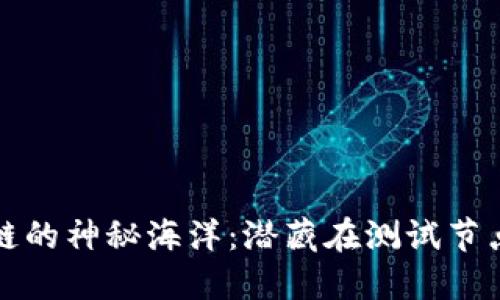探索区块链的神秘海洋：潜藏在测试节点中的宝藏