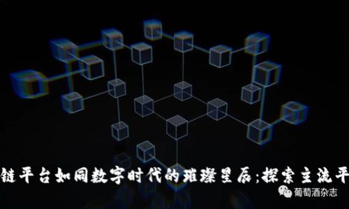 开源区块链平台如同数字时代的璀璨星辰：探索主流平台的奥秘