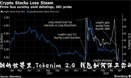  在没有私钥的世界里，Tokenim 2.0 钱包如何保卫你的数字财富？