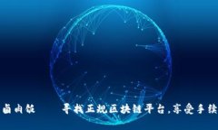 像撇掉皮蛋的卤肉饭——寻找正规区块链平台，