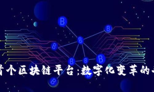 肯尼亚首个区块链平台：数字化变革的奇妙旅程