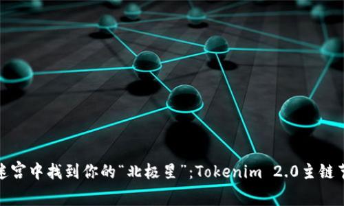 在区块链的迷宫中找到你的“北极星”：Tokenim 2.0主链节点切换攻略