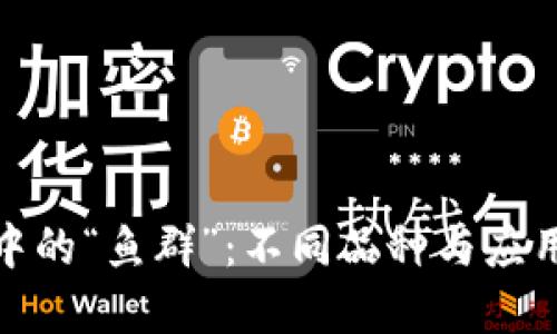 探索区块链中的“鱼群”：不同品种与应用实例大揭秘