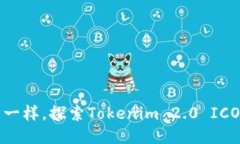 像登上火箭一样，探索Tokenim 2.0 ICO的无限可能