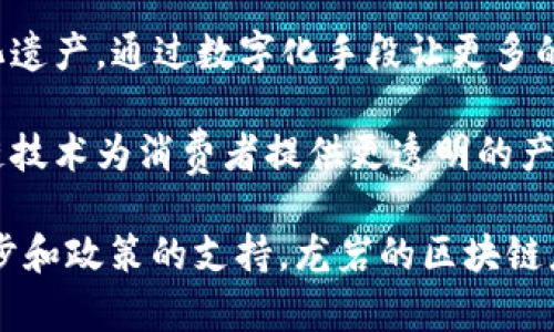 在龙岩市，区块链技术的发展正在逐渐引起人们的关注和应用。以下是龙岩地区一些与区块链相关的城市和项目信息：

1. **龙岩市中心城市**：作为龙岩的政治、经济和文化中心，中心城市正逐步引入区块链技术，以推动政府服务、公共管理及金融服务的数字化转型。

2. **连城县**：连城作为龙岩的一个重点经济增长点，正在探索在农产品溯源、数字资产交易等领域的区块链应用，促进地方经济的现代化。

3. **永定区**：永定以其深厚的文化底蕴，正在尝试利用区块链技术来保护和传承非物质文化遗产，通过数字化手段让更多的人了解和参与传统文化的保护。

4. **上杭县**：上杭的区块链应用主要集中在智慧农业和可追溯供应链的建设上，通过区块链技术为消费者提供更透明的产品来源信息。

虽然目前龙岩区的区块链城市和项目还在不断发展和完善中，但可以期待未来随着技术的进步和政策的支持，龙岩的区块链应用将越来越普遍。在此过程中，地方政府和企业的紧密合作将是推动区块链技术落地的关键。