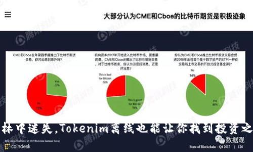 如同在森林中迷失，Tokenim离线也能让你找到投资之路的方向