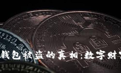 探秘Tokenim 2.0钱包被盗的真相：数字财富也要严防“黑手”！