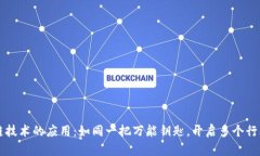 区块链技术的应用：如同一把万能钥匙，开启多