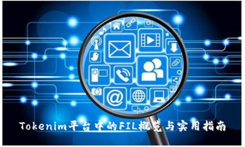 Tokenim平台中的FIL概览与实用指南