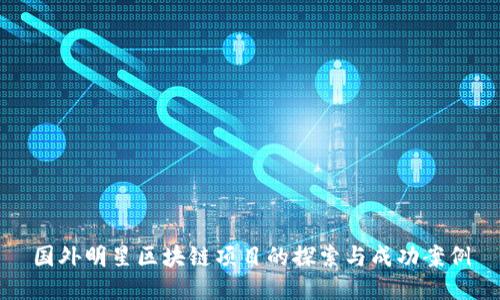 国外明星区块链项目的探索与成功案例