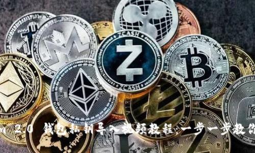 : Tokenim 2.0 钱包私钥导入视频教程：一步一步教你轻松掌握