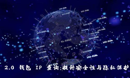 Tokenim 2.0 钱包 IP 查询：提升安全性与隐私保护的新视角