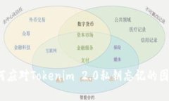 如何应对Tokenim 2.0私钥忘记的困境？