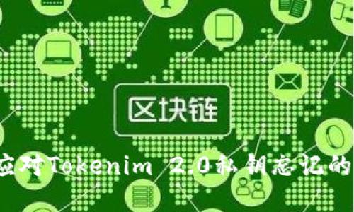 如何应对Tokenim 2.0私钥忘记的困境？